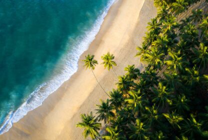 Coastal Charms: Exploring Sri Lanka’s Stunning Beaches